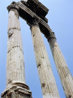 The Roman Forum