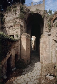 The Roman Forum