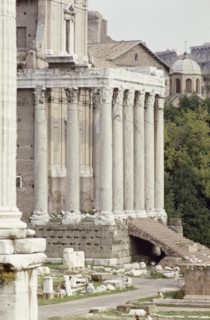 The Roman Forum