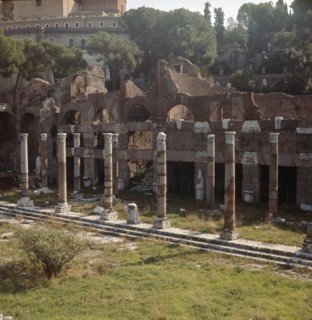 The Roman Forum