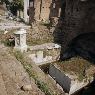 The Roman Forum