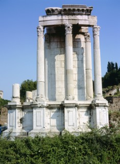 The Roman Forum