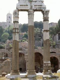 The Roman Forum