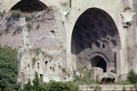 The Roman Forum