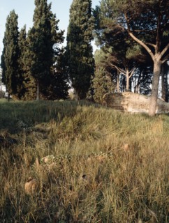 Ostia