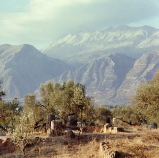Olympia