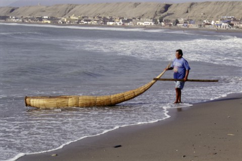 Modern day Moche fisherman guiding a tortora reed boat (caballito) on beach on Peru's northern coast