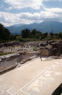 Part of a mosaic depicting a bull, at Dion, with Mt