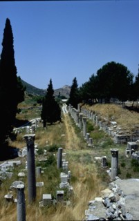 View of the road leading from the sactuary to the city of Samos