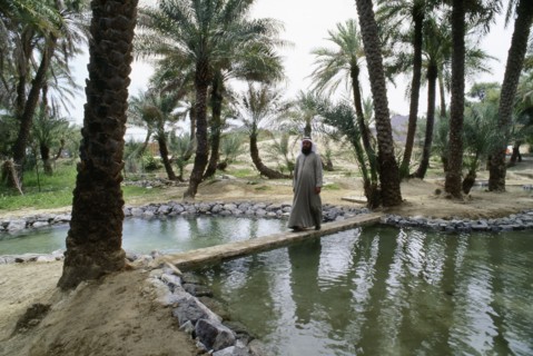 Irrigation channels at al-'Ain oasis