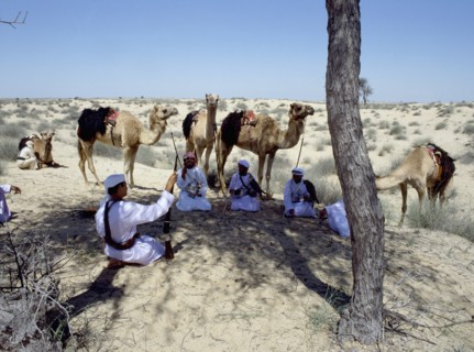 A party of Bedouin seated conversing in the shade of a tree in the desert while their camels are tethered nearby