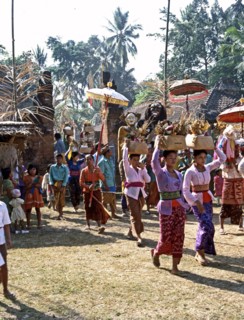 The Balinese version of Hinduism has an elaborate calender of festivals associated with each major temple