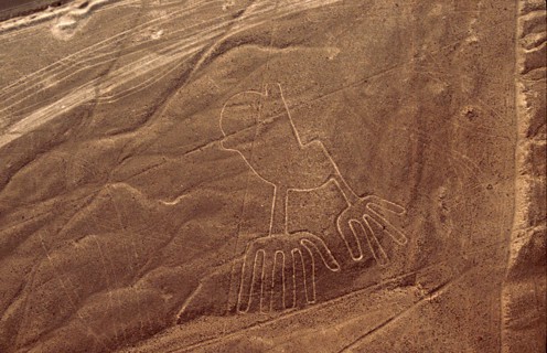 Used for rituals probably related to astronomy, the Nazca geoglyphs covering an area of around 400 square miles, are visible only from the air