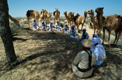 Hawking is a traditional sport of the Bedu and is still very popular in the Emirates