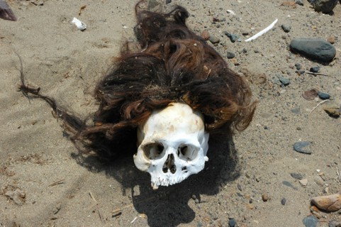 Pre-Columbian skull with the hair still attached