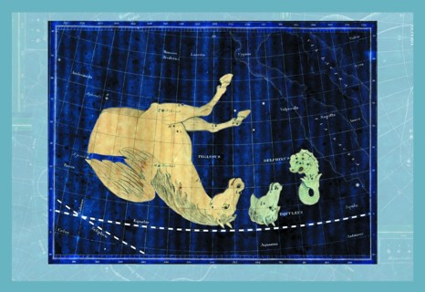 Delphinus, Equuleus and Pegassus #1 1824