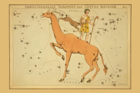 Camelopardalis, Tarandus and Custos Messium 1825