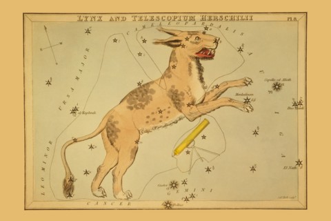 Lynx and Telescopium Herschilii 1825