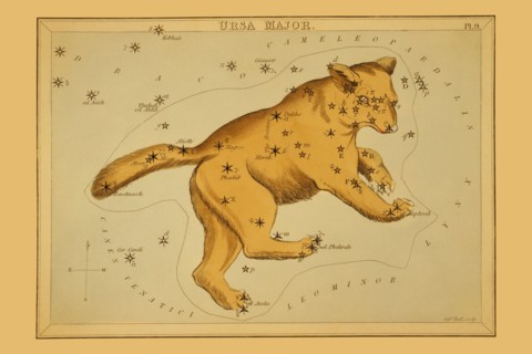 Ursa Major 1825