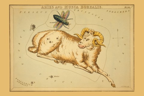 Aries and Musca Borealis 1825