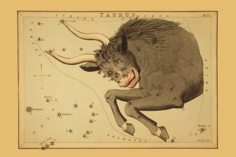 Taurus the Bull 1825
