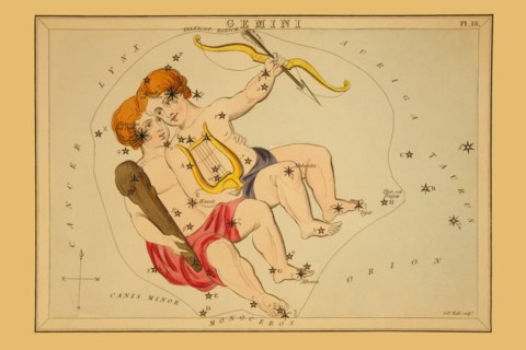 Gemini 1825