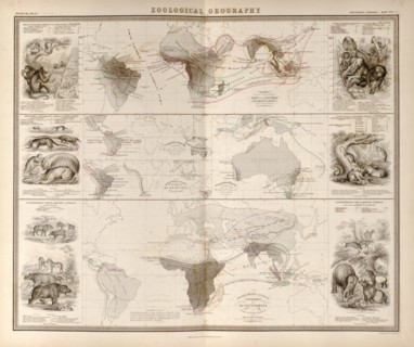 Zoological Geography; Birds of the World; Primates, Pachydrms, Marsupials & Primates 1848