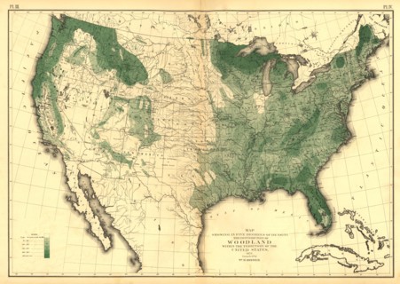 Woodlands of the United States - 1873 1873