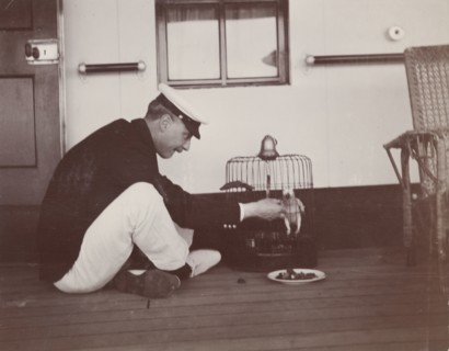 Caged parrot aboard the S.S. Balmoral Castle