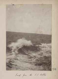 Snap from the S.S. Delhi