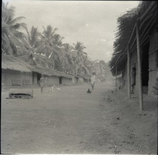 Bara village
