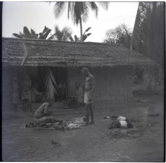 Bekundi meeting, butchering the first goat