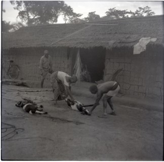 Bekundi meeting, killing the third goat