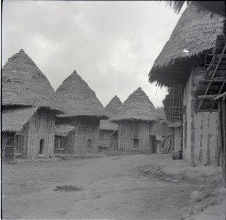 Fontem, wives houses, the Palace