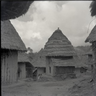 Fontem, wives houses