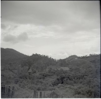 From Rest House, Fontem. Looking through hills to Banyang country