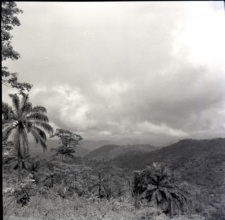Looking towards Banyang country from Bangwa