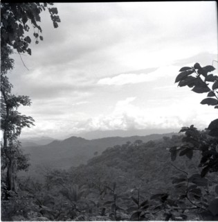 Looking towards Banyang country from Bangwa
