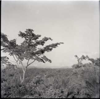 Views of Banyang country