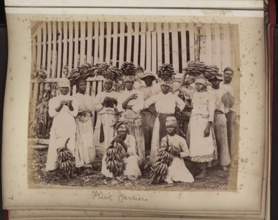 Fruit carriers
