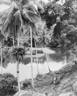 A river jetty on Vanua Levu