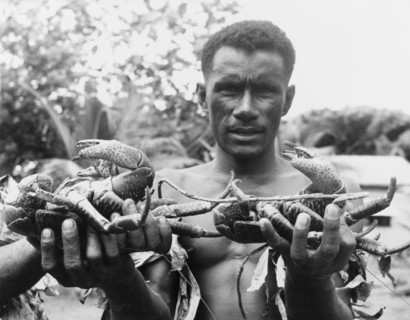 Two coconut crabs