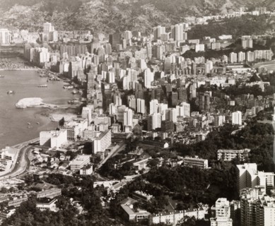 A forest of skyscrapers