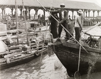 Fishing in a Hong Kong harbour