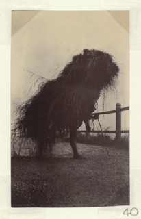 Labourer with a bundle of grass