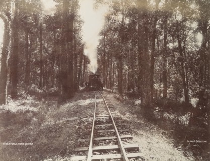 Darjeeling Hill Railway, near Sookna