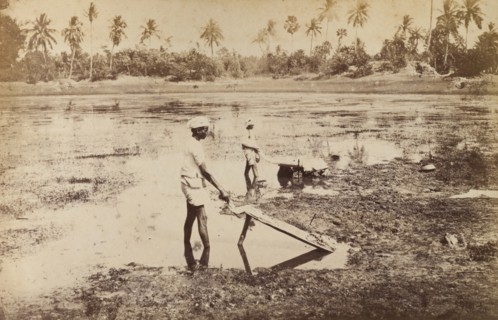 Washing clothes at Ballygunge, India