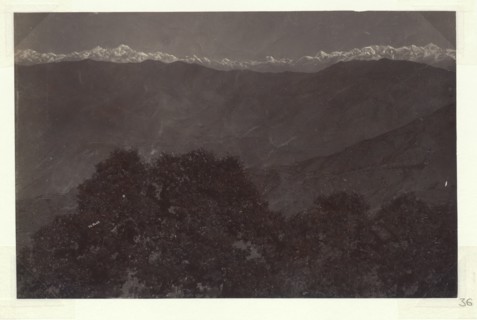 View of the Himalayas from Mussoorie