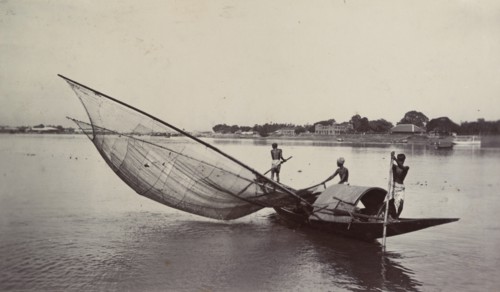 Fishing with a large net, India