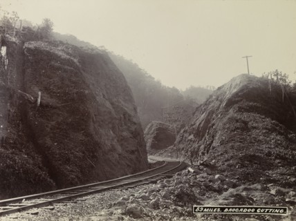 Track at Brocadoo Cutting, Jamaica